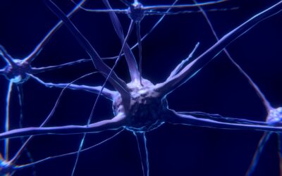 La neuroplasticità: piedi, bocca e masticazione